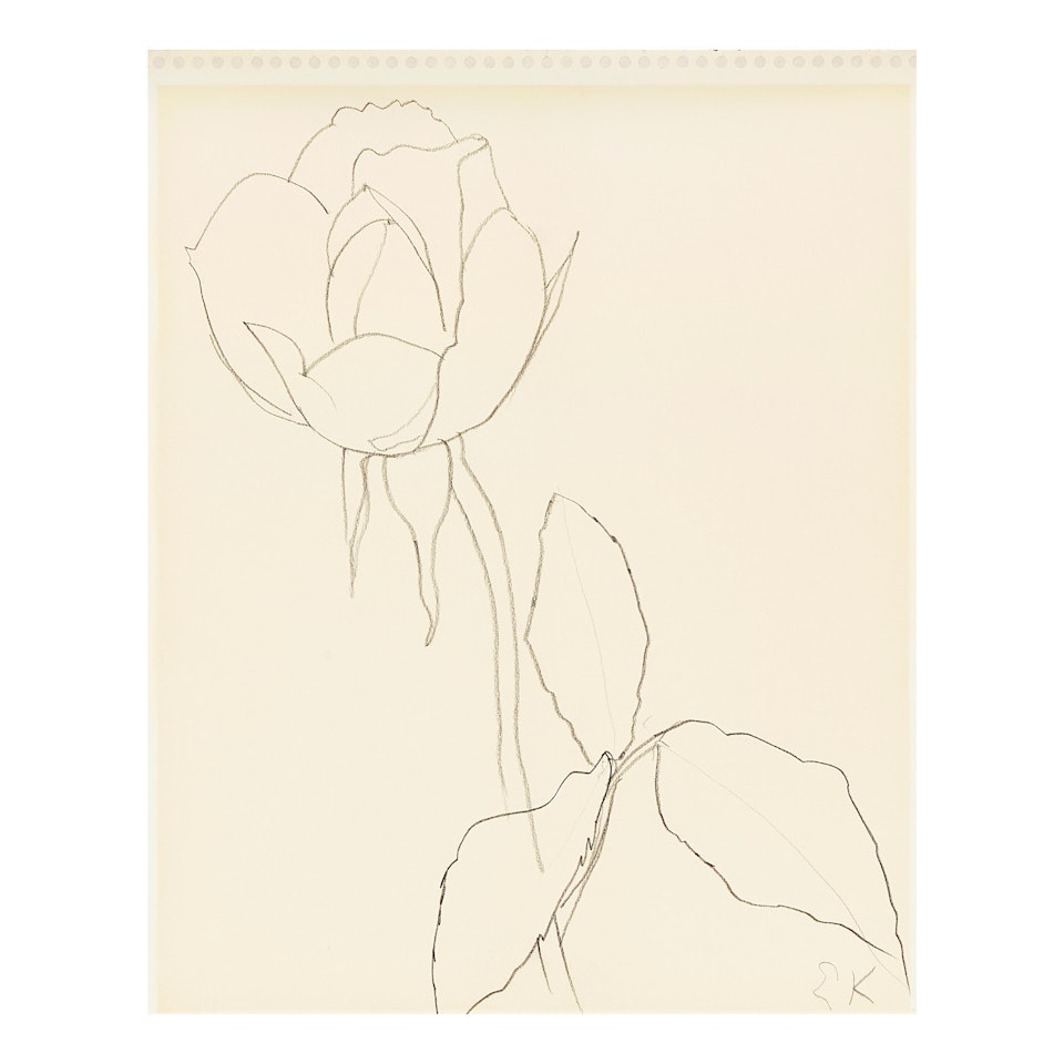 Flower by Ellsworth Kelly