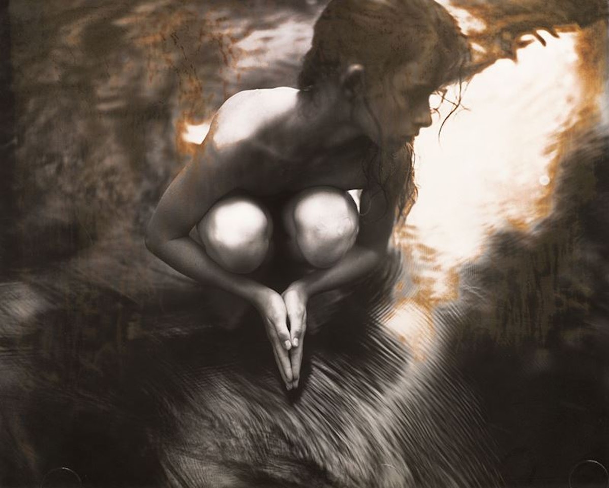 Shiva at Whistle Creek by Sally Mann