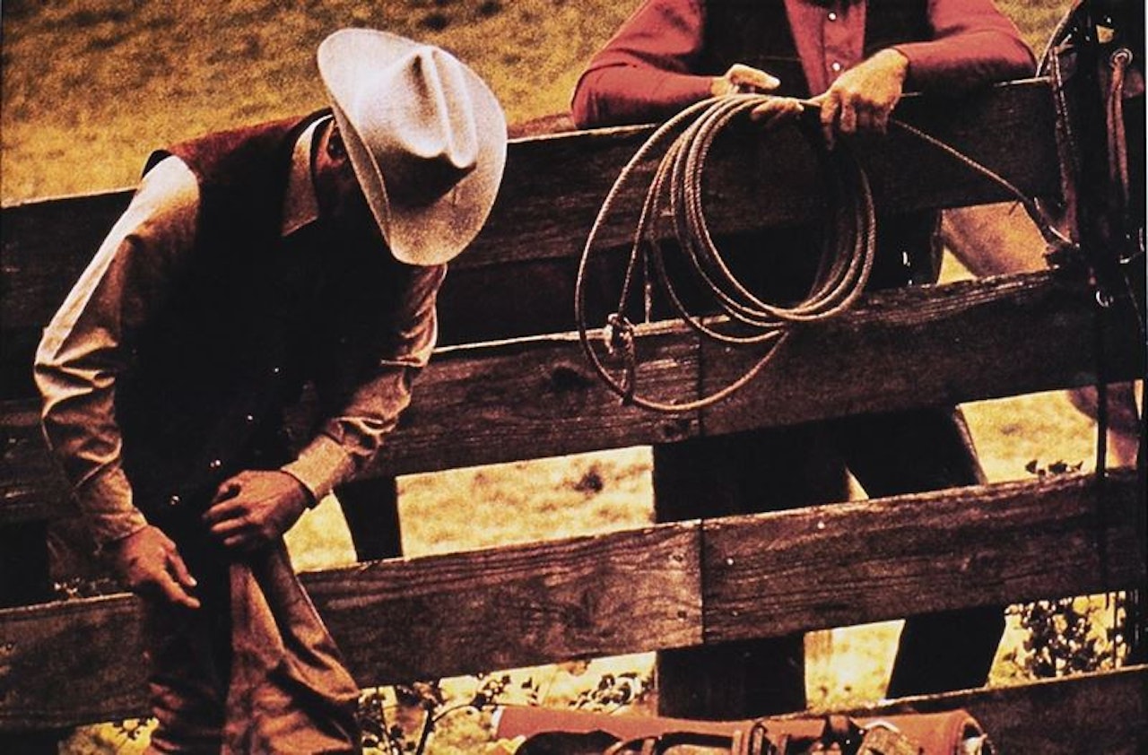 Untitled (Cowboy) by Richard Prince