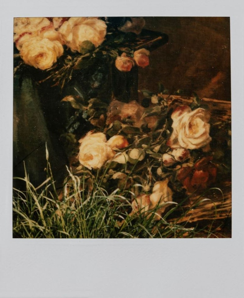 Still Life, Modena by Luigi Ghirri