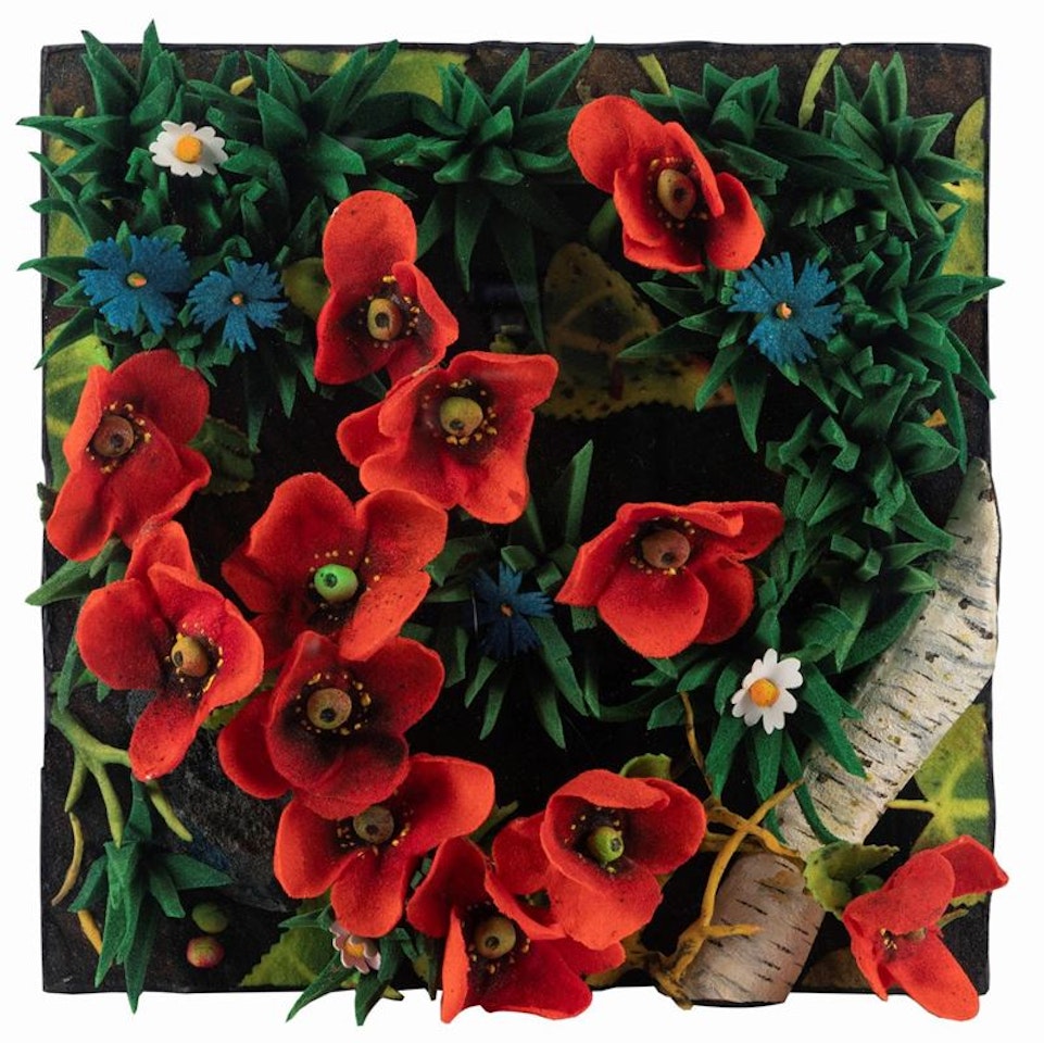 Papaveri e fiordalisi by Piero Gilardi