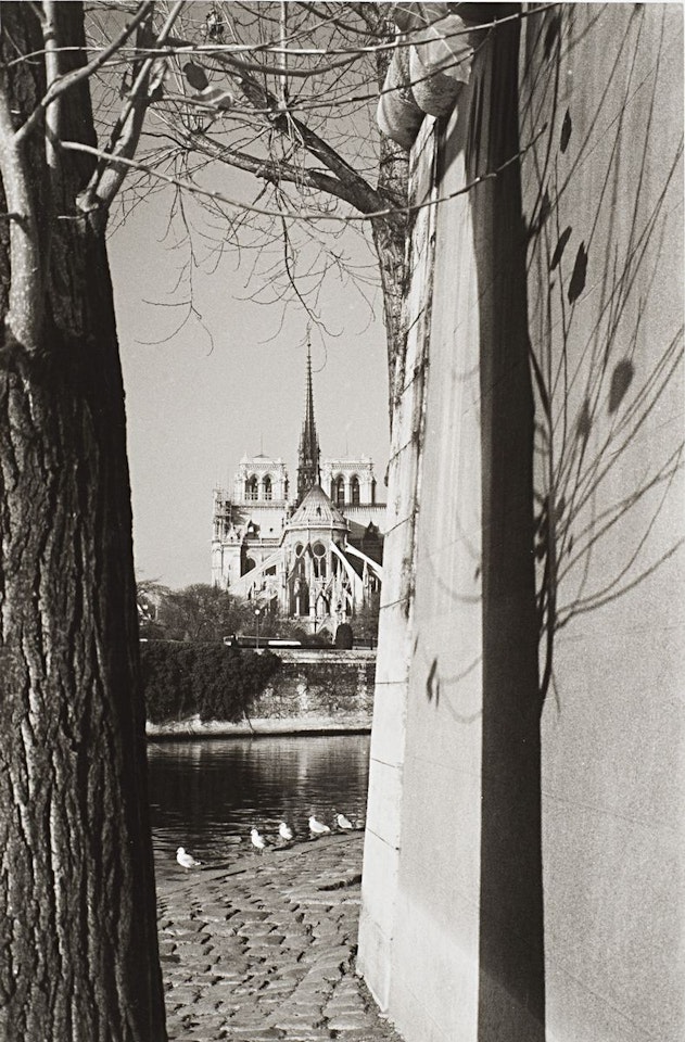 Paris, Notre Dame, by André Kertész