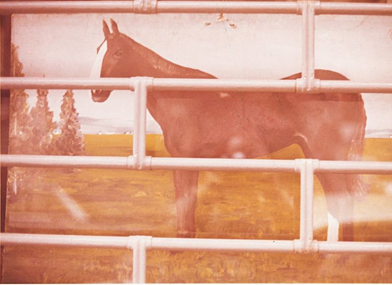 Reggio Emilia, from the series "Kodachrome" by Luigi Ghirri