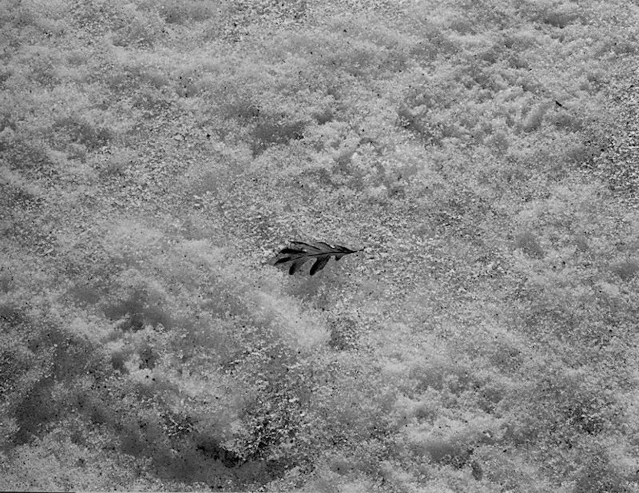 Detroit by Harry Callahan