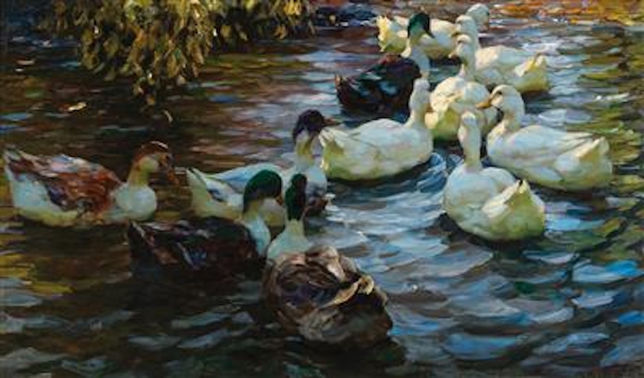 Ducks in a Pond by Alexander Koester