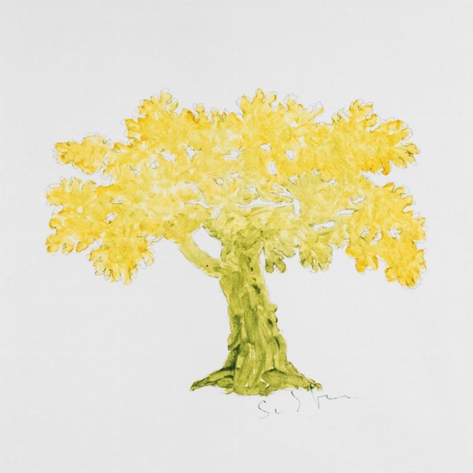 Senza titolo - Albero, seconda metà Anni "70 by Mario Schifano