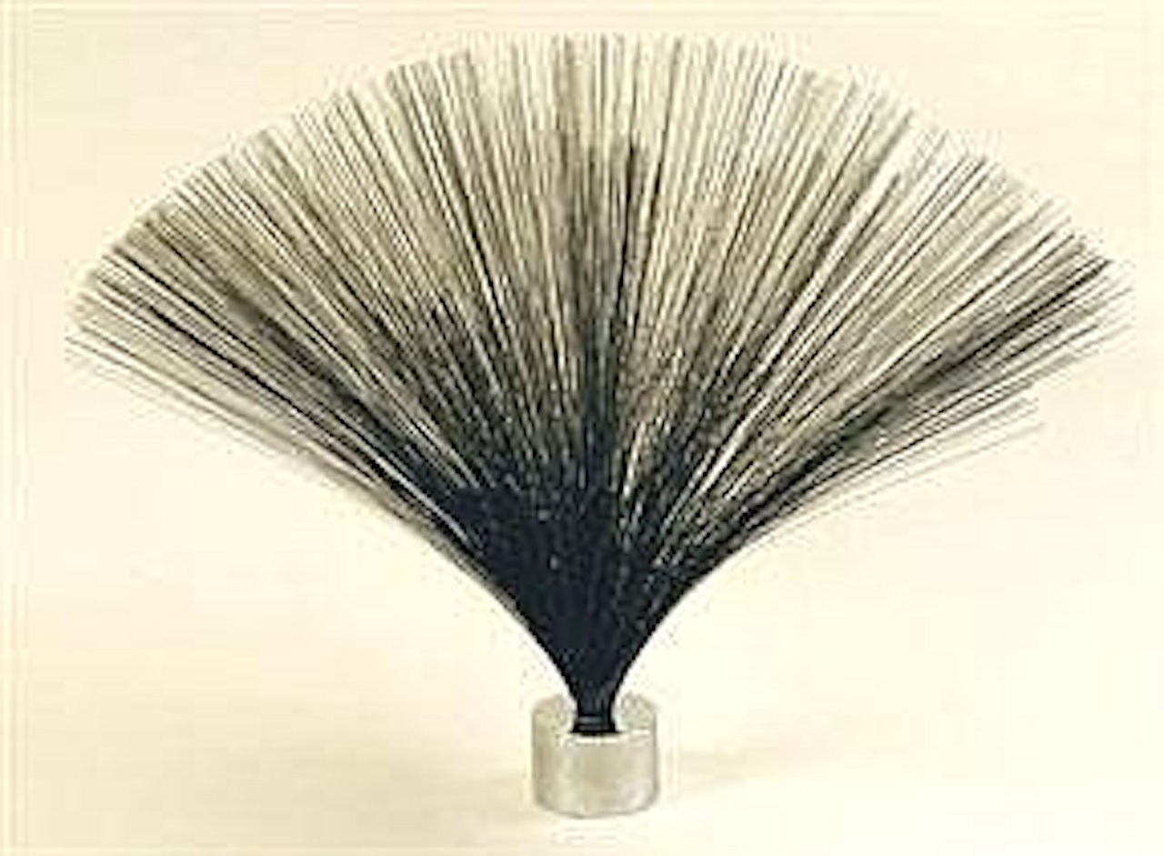 UNTITLED (SPRAY) by Harry Bertoia
