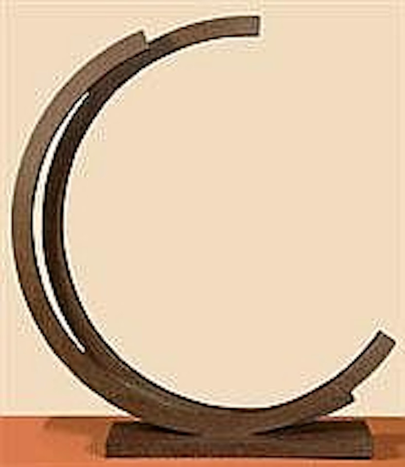 DEUX ARCS DE 214,5° by Bernar Venet