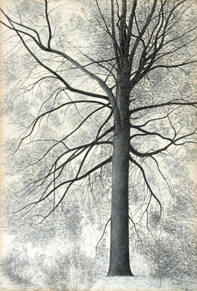 Lonely Tree in the Woods, Winter by Léon Spilliaert