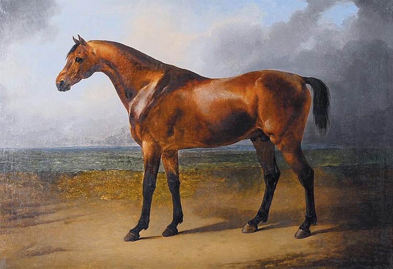 PUR SANG - PURE-BRED by Eugène Joseph Verboeckhoven