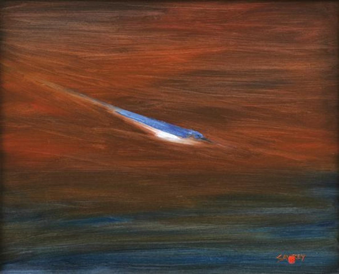 Flight of the Blue Kingfisher, Cape York Peninsula by Hugh Sawrey