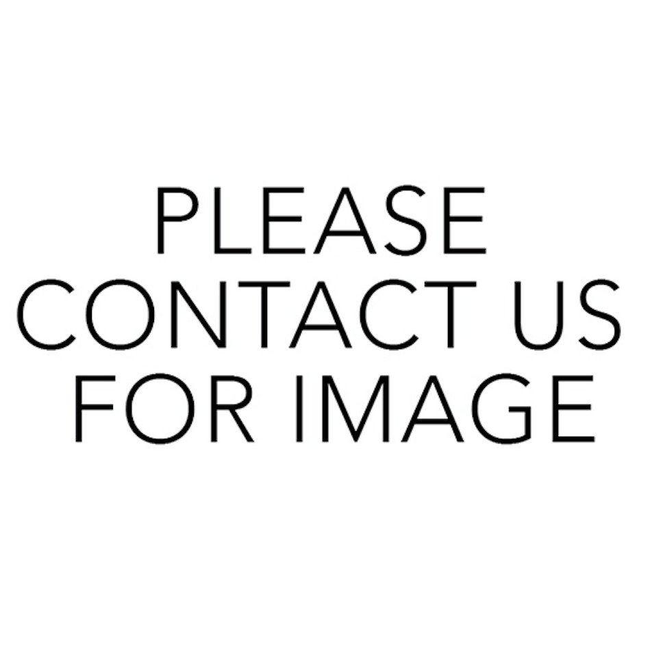 Burke Riding a Camel by Sidney Nolan