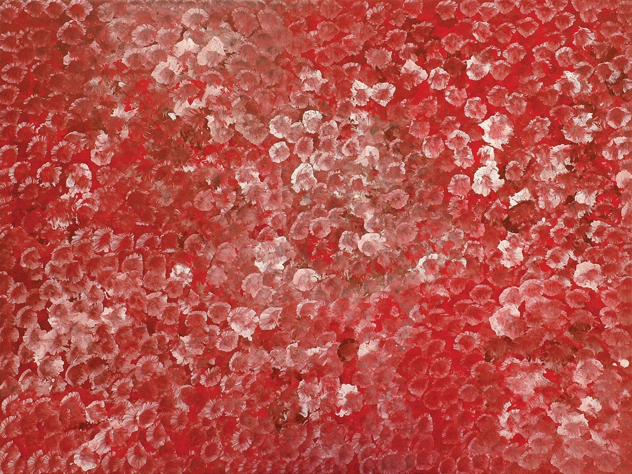 Flower Dreaming 1994 by Emily Kame Kngwarreye