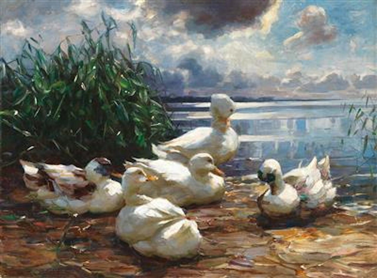Ducks on Lake Chiemsee in a Brewing Storm by Alexander Koester