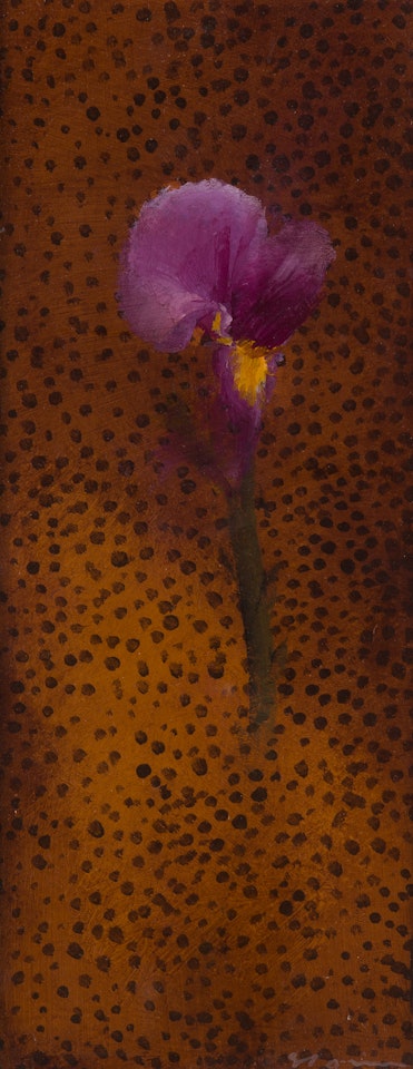 African Lily 2005 by Tim Storrier