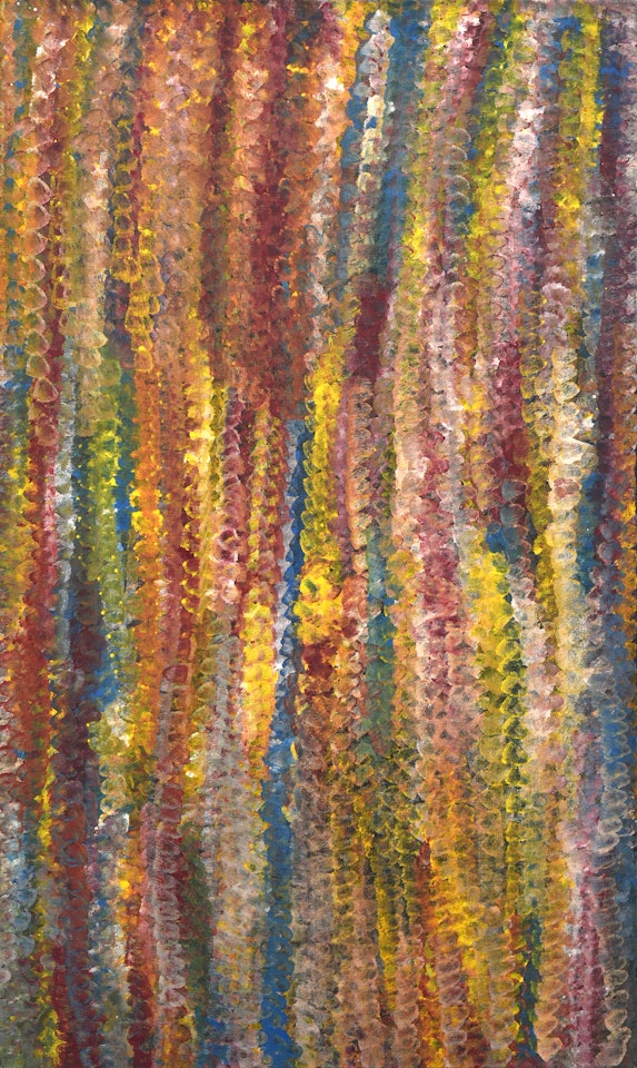 Desert Lifecycle 1995 by Emily Kame Kngwarreye