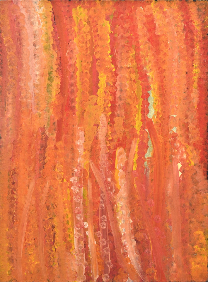 Merne Anooralya by Emily Kame Kngwarreye