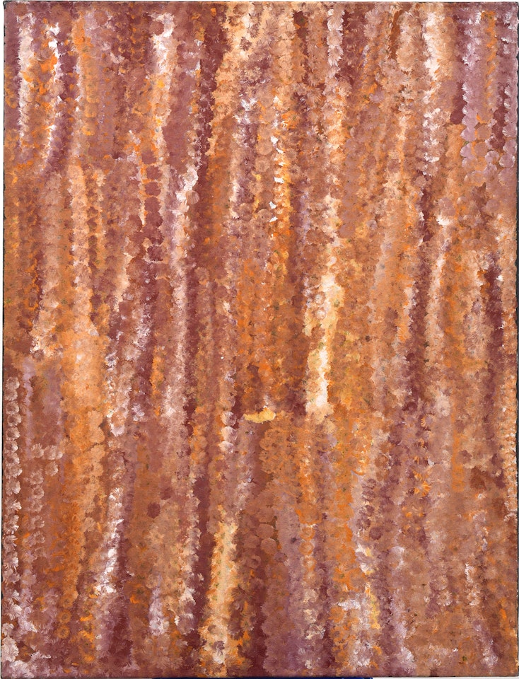 Life Cycle III by Emily Kame Kngwarreye