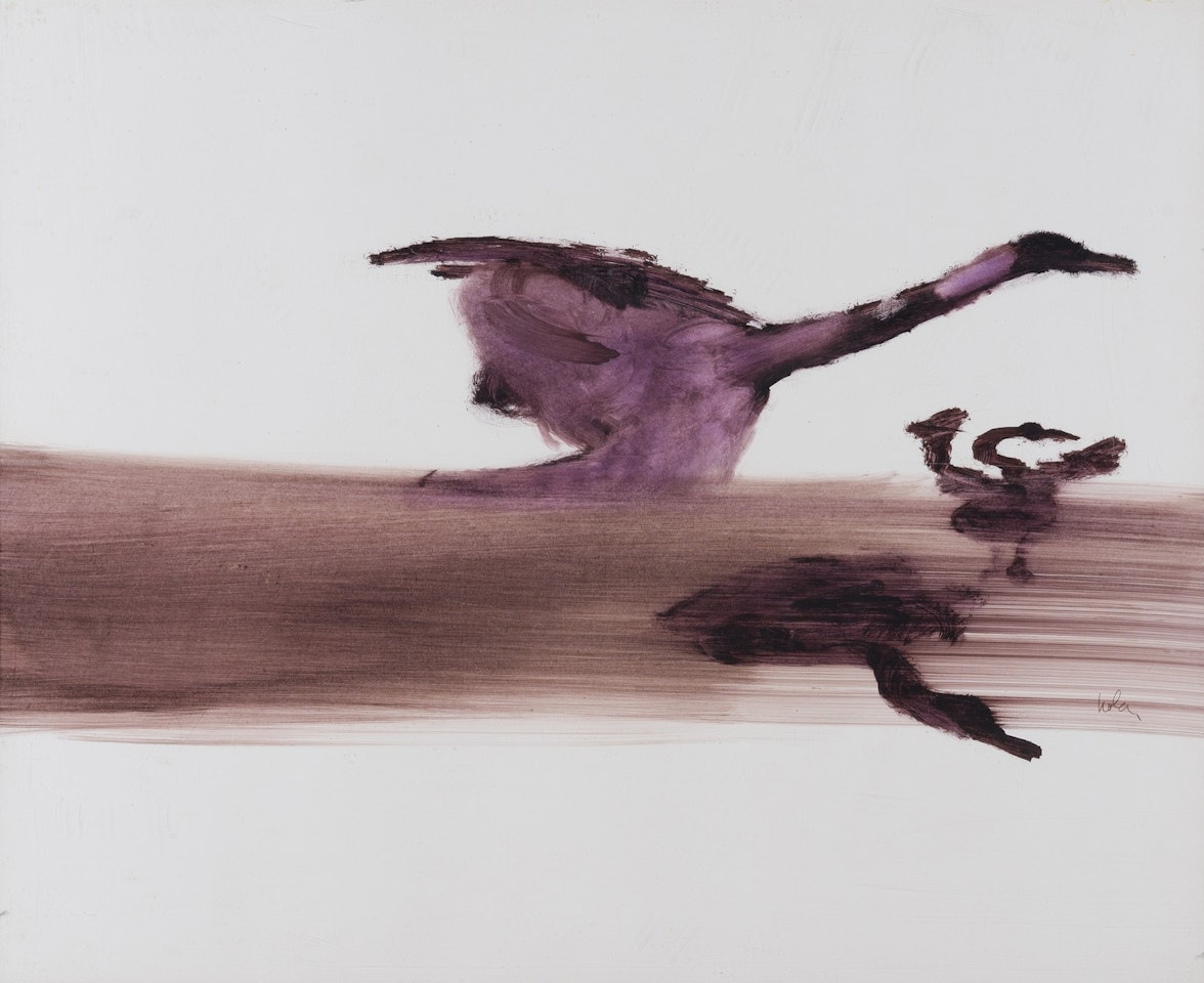 Swans by Sidney Nolan