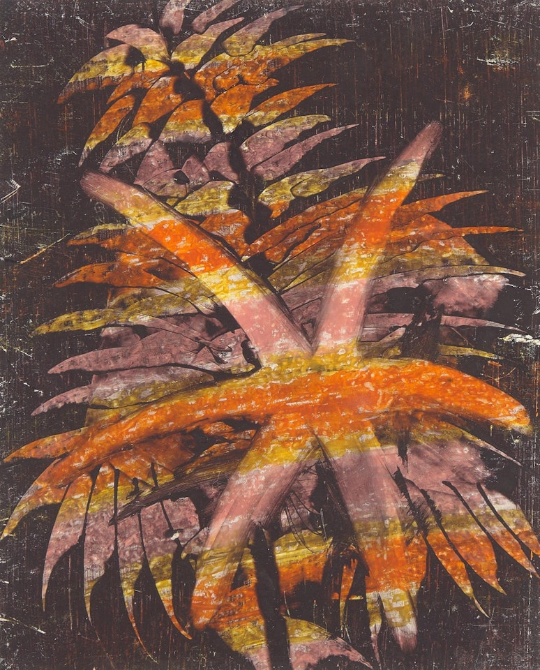 Flower, Paradise Garden by Sidney Nolan