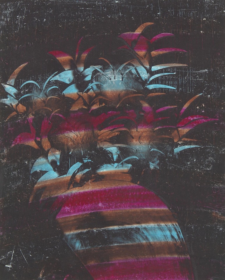 Flowers by Sidney Nolan