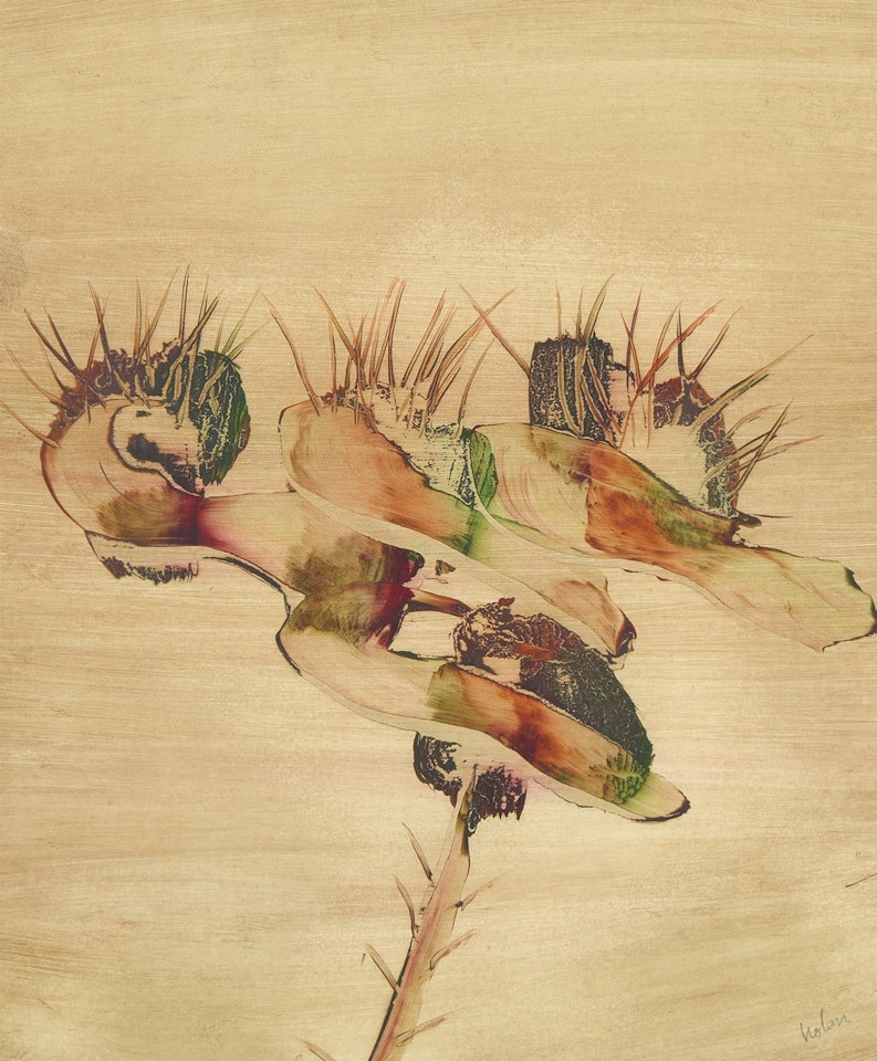Flowers, Paradise Garden by Sidney Nolan
