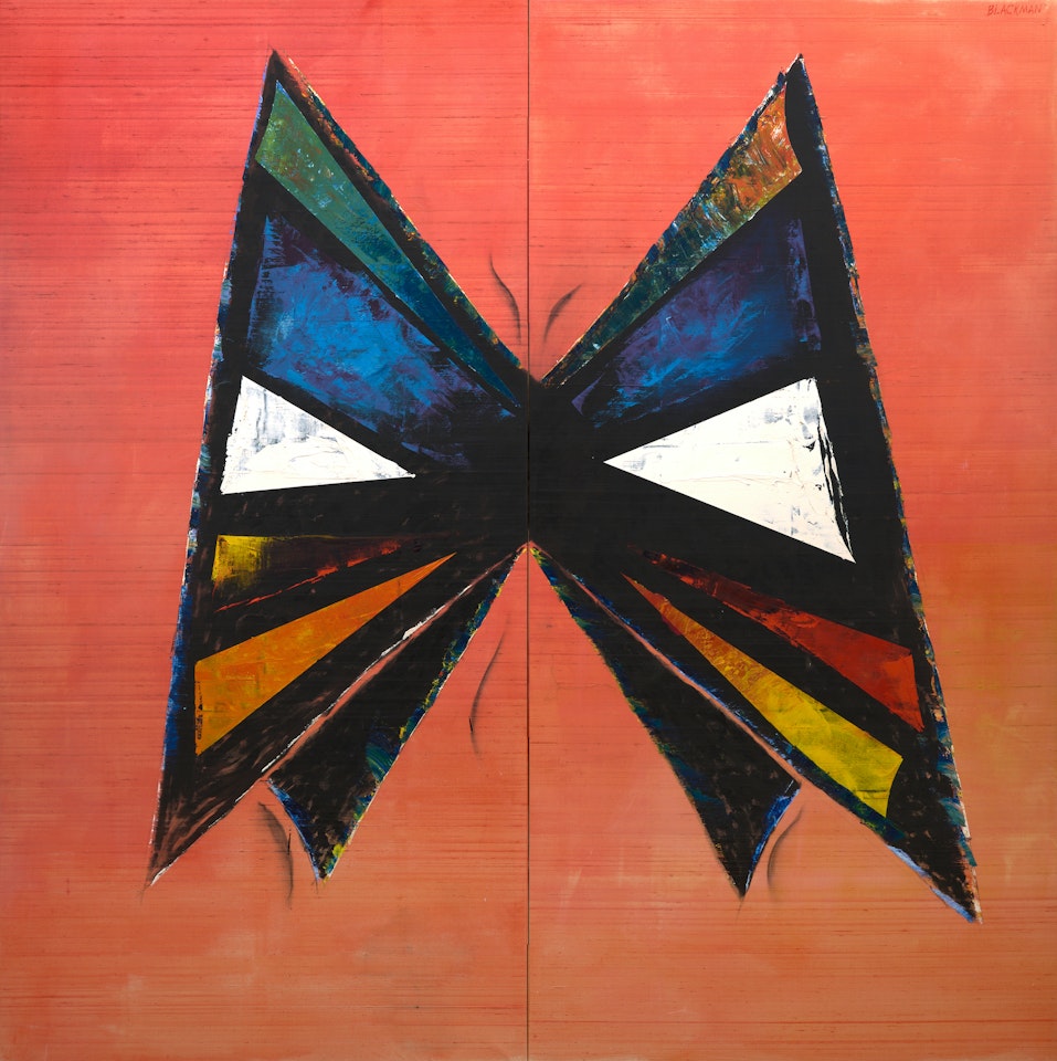Stained Glass Butterfly by Charles Blackman