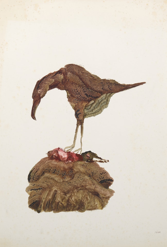 Bird and Prey by Sidney Nolan