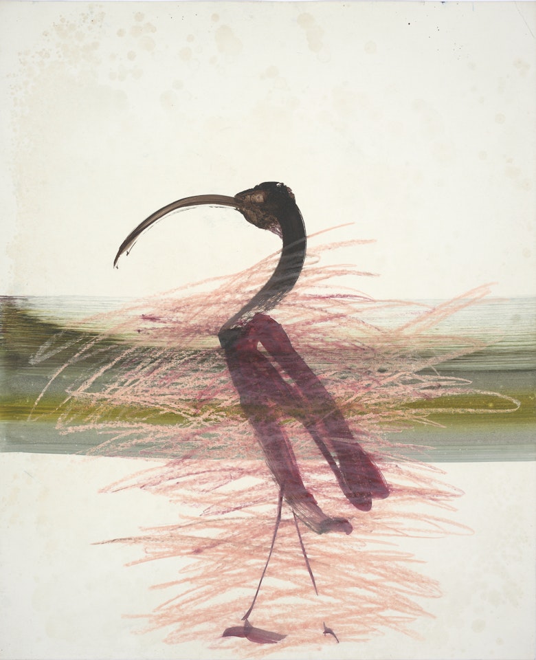Bird 1963 by Sidney Nolan