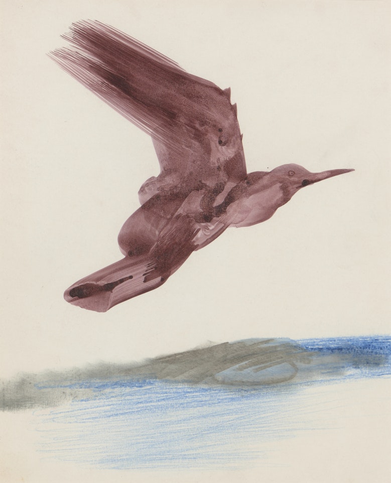 Bird by Sidney Nolan