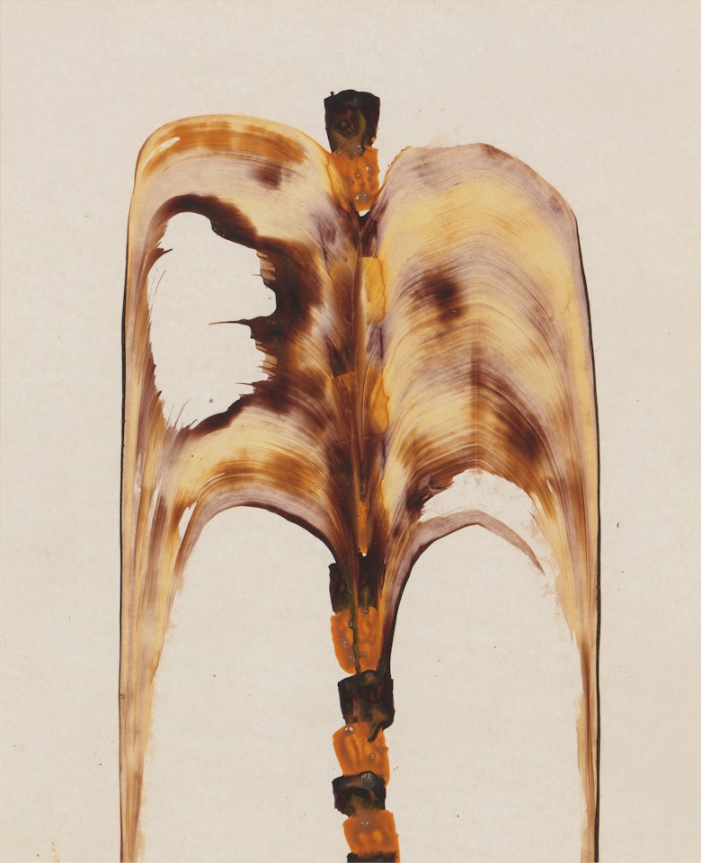 Paradise Garden by Sidney Nolan