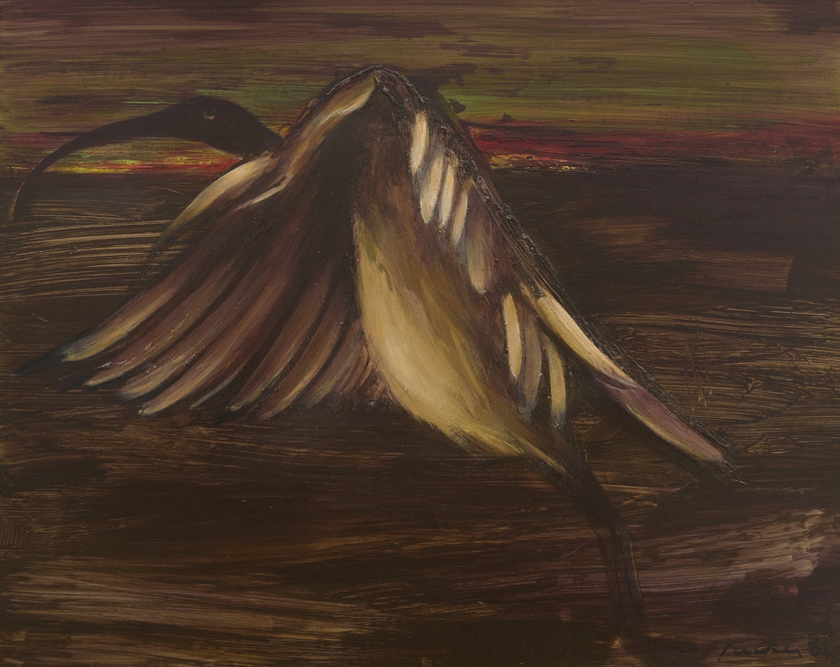Ibis 1964 by Albert Tucker