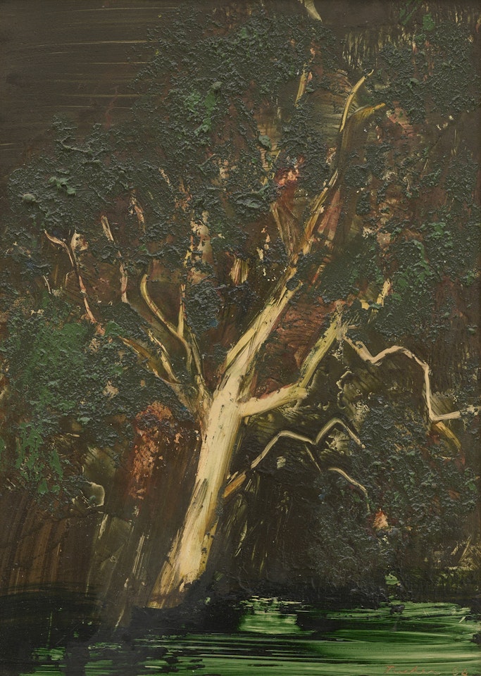 River Gum, Metung 1964 by Albert Tucker