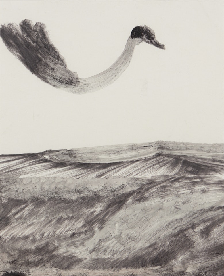 Bird Over a Landscape by Sidney Nolan