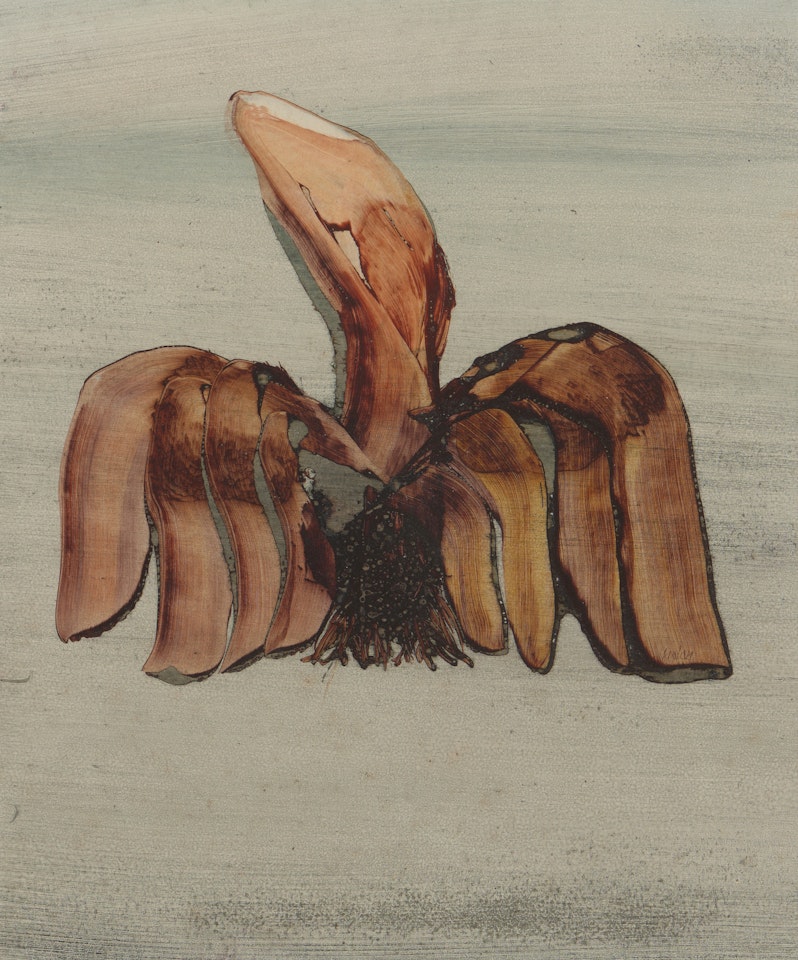 Bird 1969 by Sidney Nolan