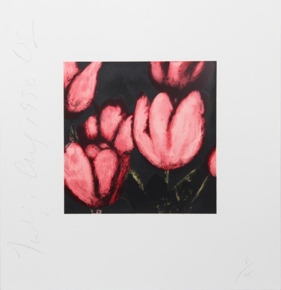 Tulips by Donald Sultan