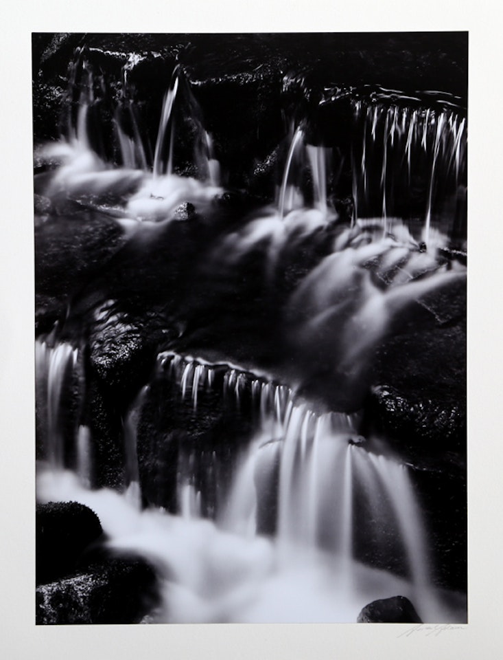 Fern Spring, Dusk by Ansel Adams
