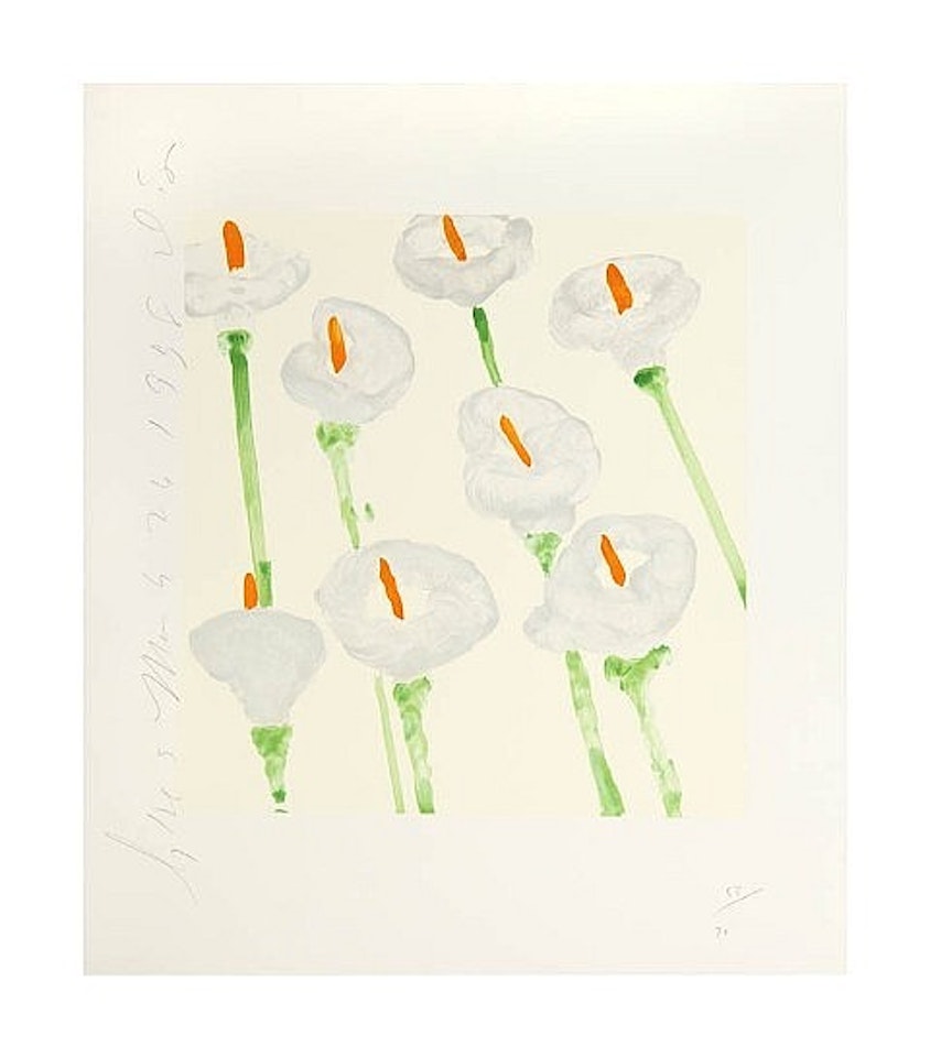 Lilies by Donald Sultan