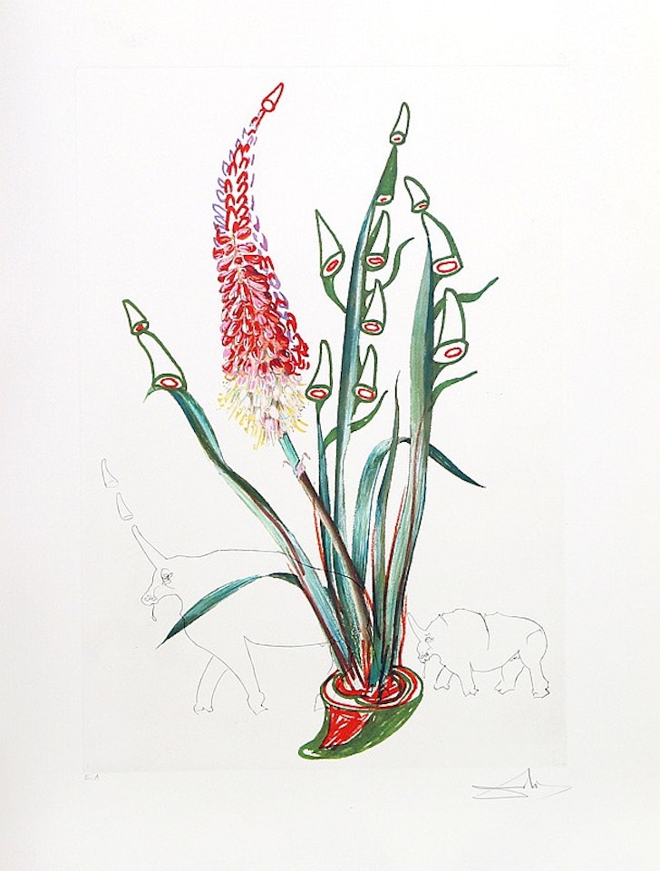 Florals: Stock Rhinos by Salvador Dali
