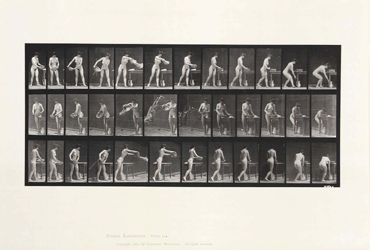Animal Locomotion. plate 402 by Eadweard Muybridge