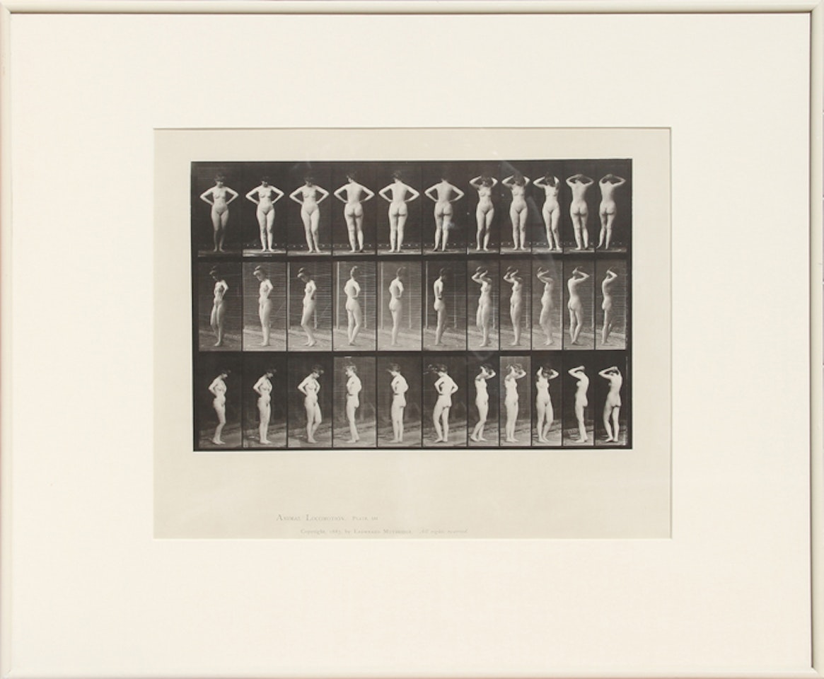 Animal Locomotion, plate 531 by Eadweard Muybridge