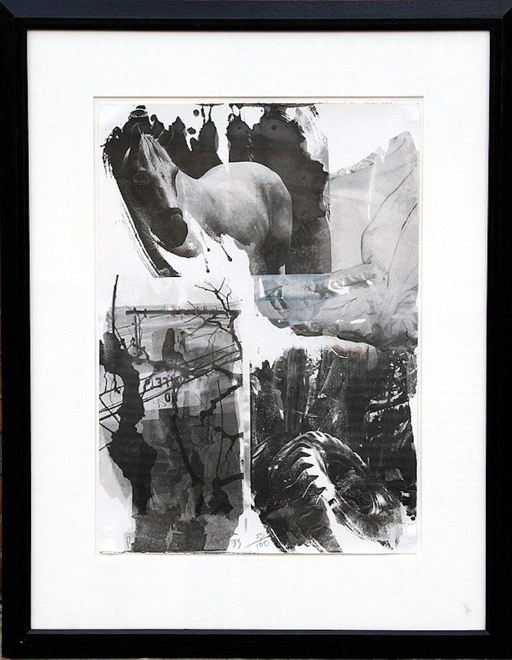 Horse Silk from the Night Sights Series by Robert Rauschenberg