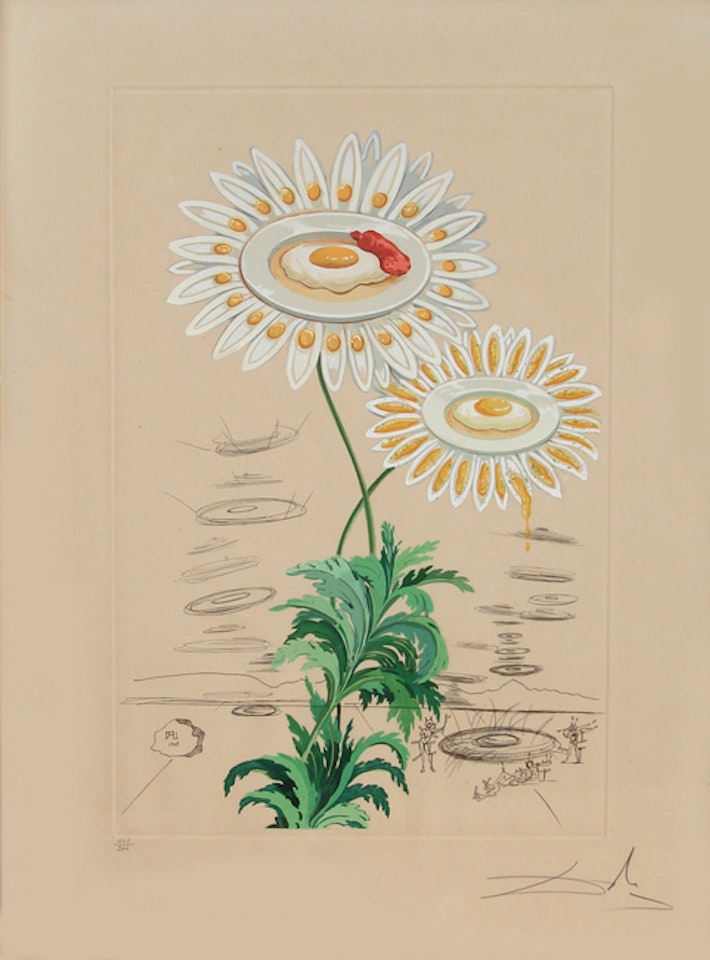 Chrysanthemum Frutescens from Flora Dalinae by Salvador Dali