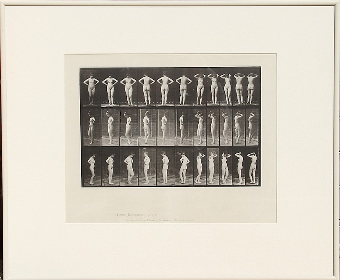 Animal Locomotion, plate 531 by Eadweard Muybridge