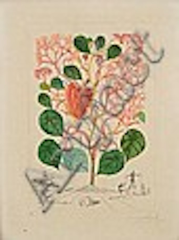 Anarcardium Recordans (Begonia, Le Coeur) from Flora Dalinae by Salvador Dali