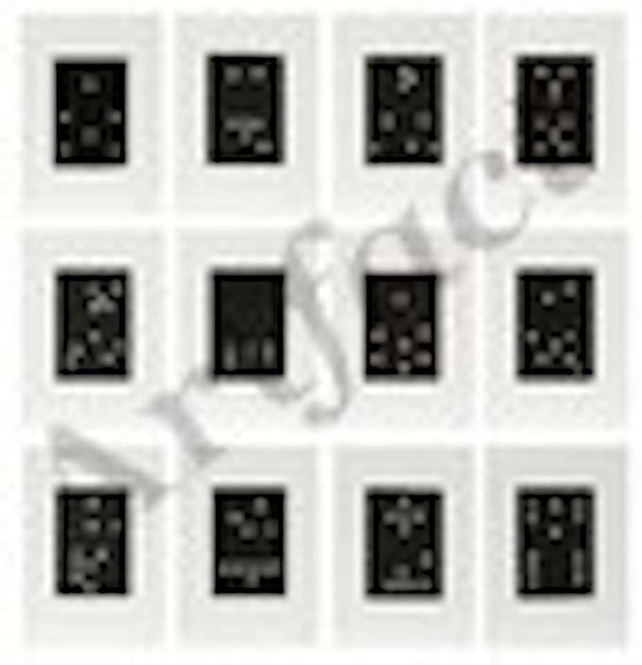 Dominoes Portfolio by Donald Sultan