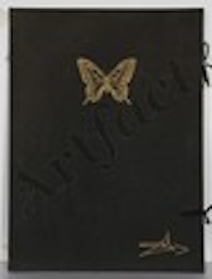 Papillon Anciennes by Salvador Dali