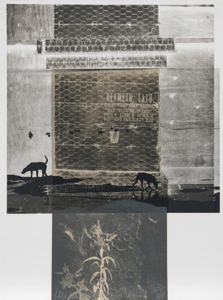 Lily Scent by Robert Rauschenberg