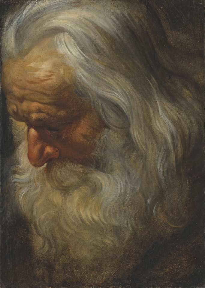 Head study of a bearded old man by Peter Paul Rubens