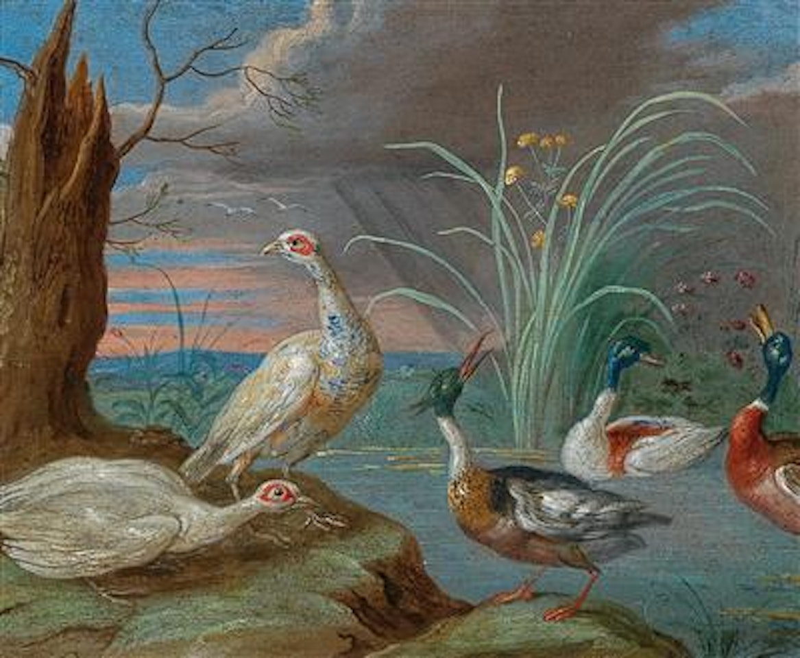 Ducks and other birds near a pond by Jan Van Kessel The Elder